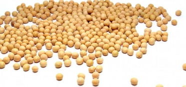 燕麥堅果酸奶等14種超級食物 日常養生保健，助您少得病、更長壽